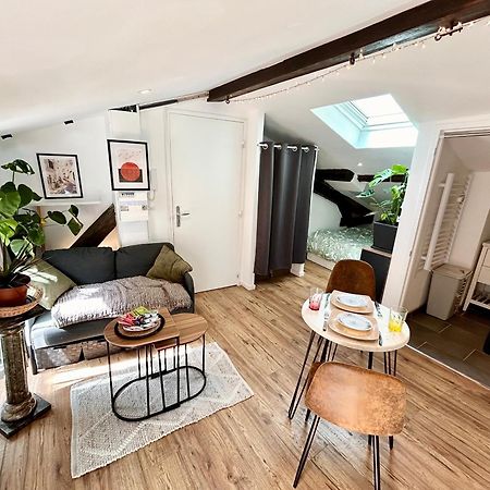 Loft Hortensia Hyper Centre Castres 카스트르 외부 사진